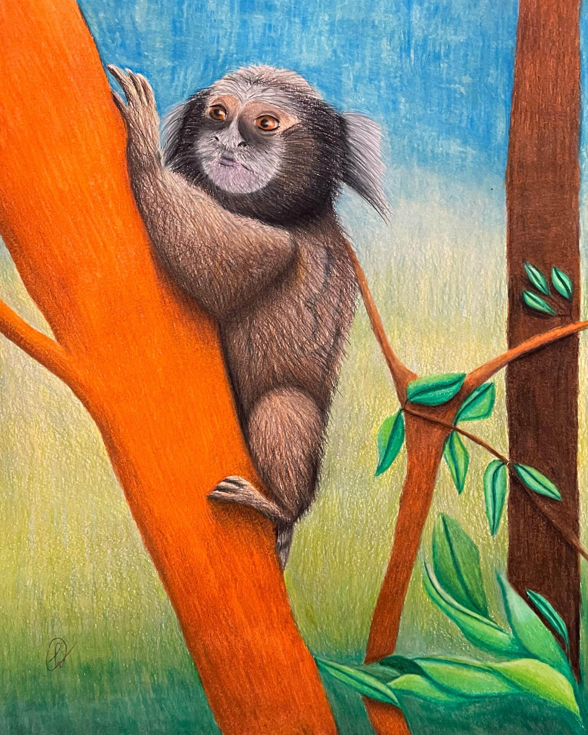 Mico-estrela em uma árvore feito com lápis de cor | Black-tufted marmoset on a tree made with colored pencils