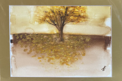 Ipê Amarelo