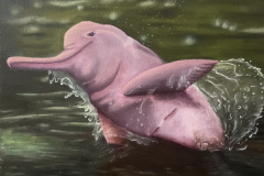 Boto Rosa