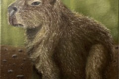 Capivara