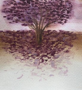 Ipê roxo com flores no chão