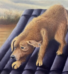 Cachorro caramelo em cima de um telhado se refugiando da enchente