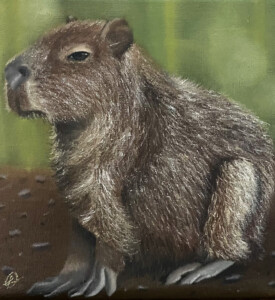 Pequena capivara de lado